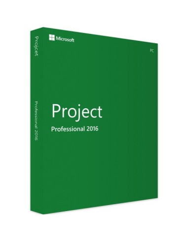 Microsoft Project 2016 Professionnel
